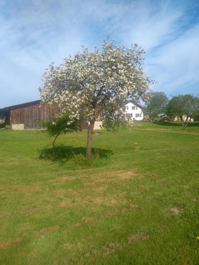 Souprosse La Maison De Pescate מראה חיצוני תמונה